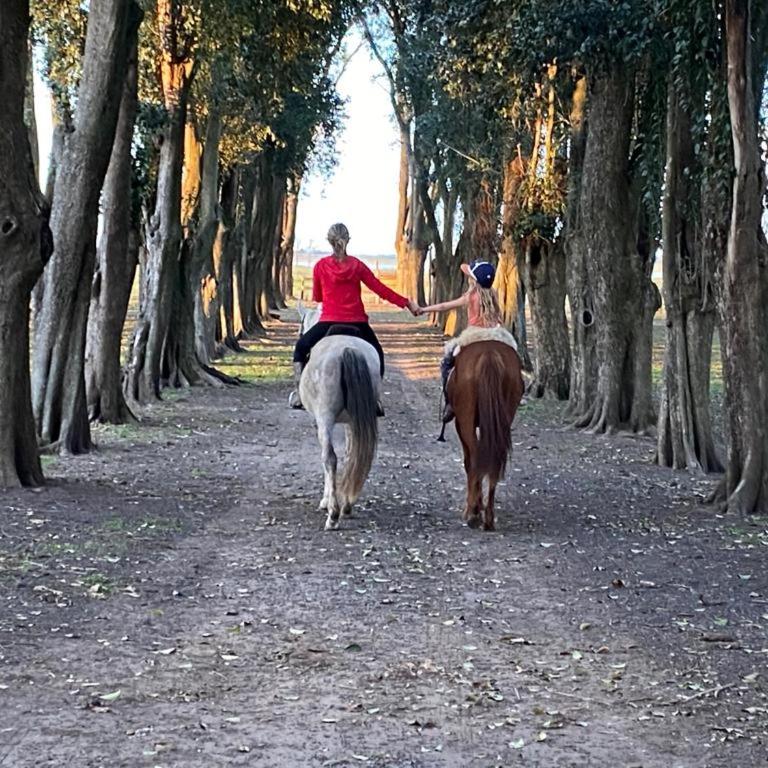 Estancia Santa Margarita 1873 - Casa de 6 dormitorios - 27