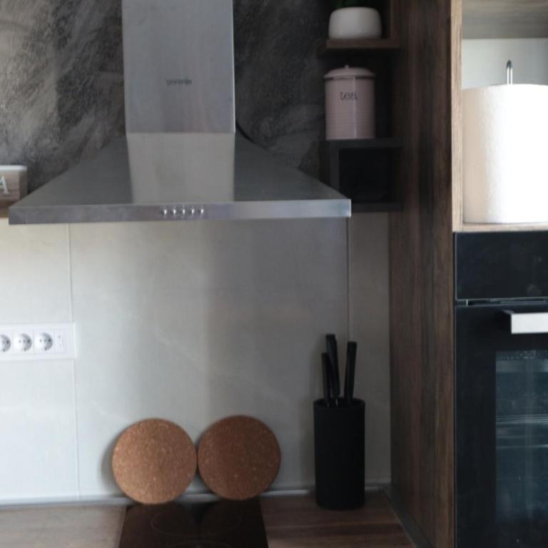 Apartman Ivanović Zlatibor - Apartman sa 1 Spavaćom Sobom - 19