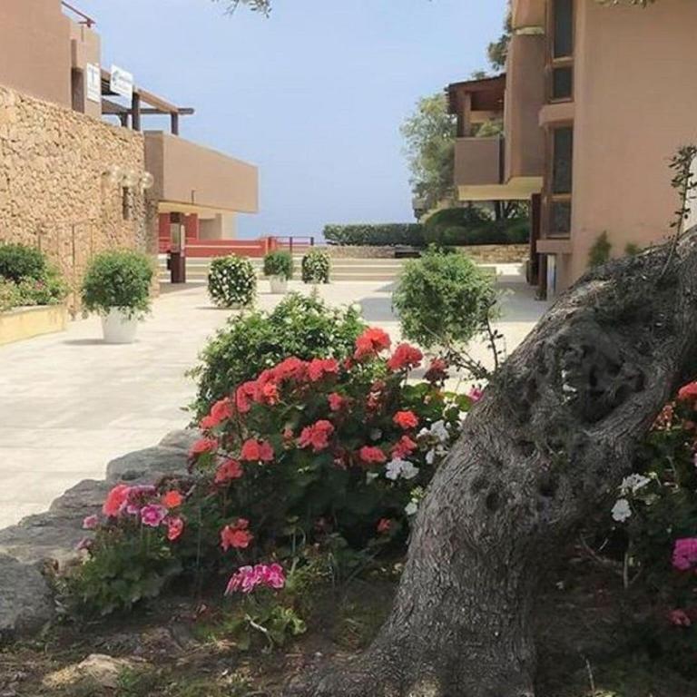 Apartment in Sardinia with Sea View - Appartamento con 1 Camera da Letto - 12