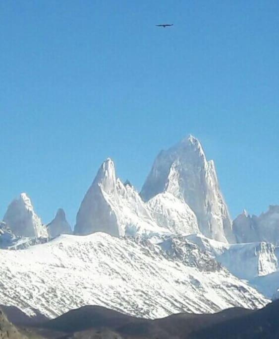 Mi lugar en el mundo - Apartamento de 3 dormitorios - 40