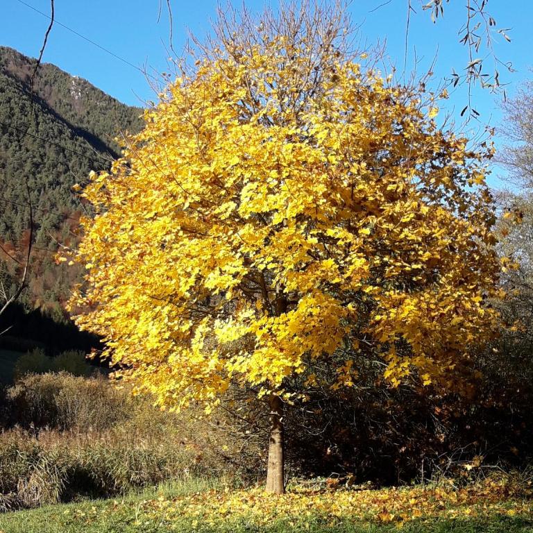 La mansarda di Rossella - Appartamento con 2 Camere da Letto - 20
