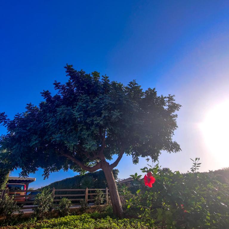 Villa Castiglione - Villa con Vista Mare - 16