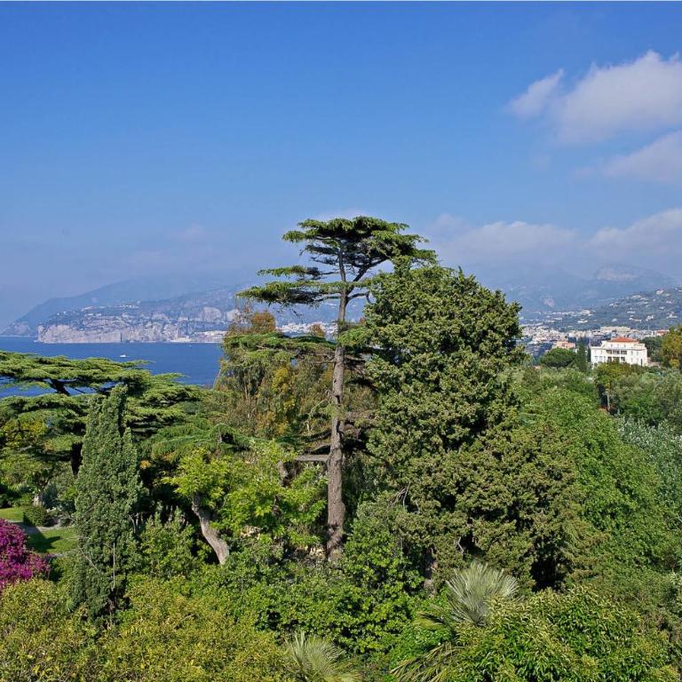 Hotel Spicy - Double or Twin Room with Sea View - 1