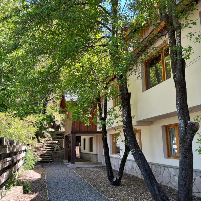Los Cerros de SMA - Apartamento de 1 dormitorio - 17