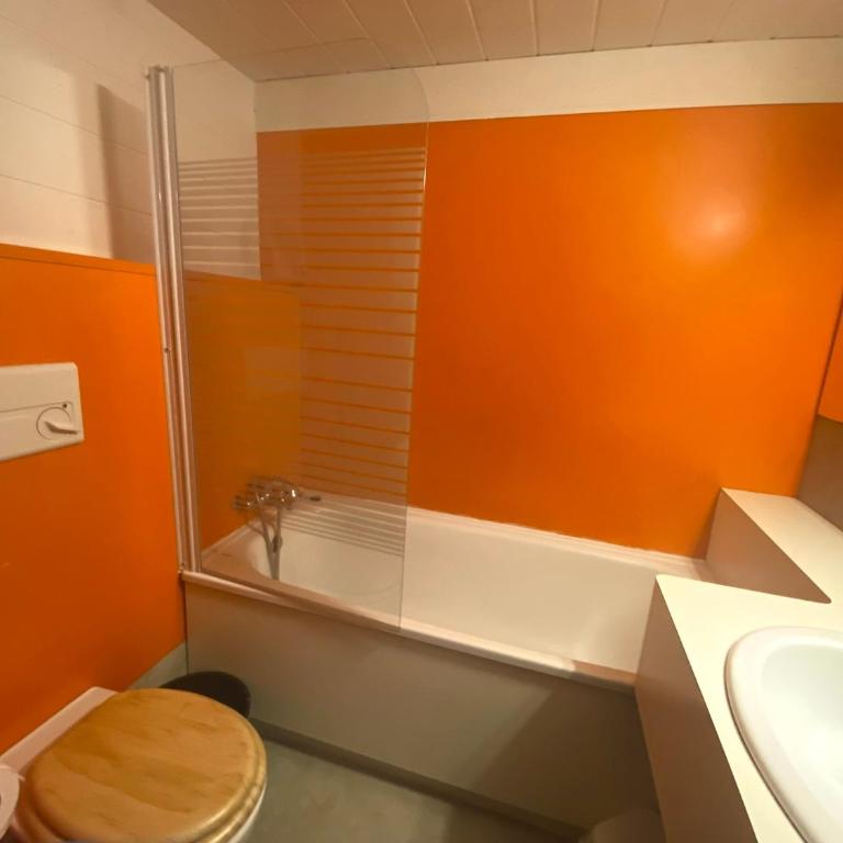 Appartement cosy, proche centre, balcon, vue Mont Blanc - FR-1-346-483 - Apartment - 10