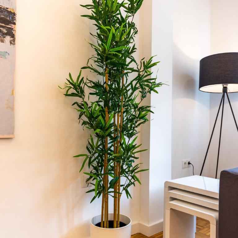 LUANDCIA Soho 3 parking free - Apartamento - 41