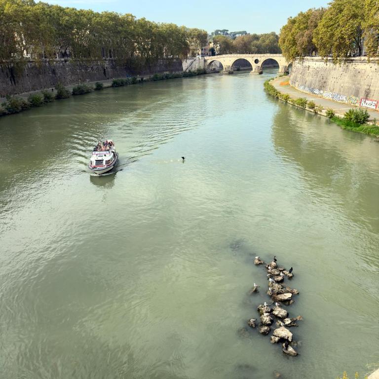 Trastevere house with balcony,quiet NEW - Appartamento con 1 Camera da Letto - 30