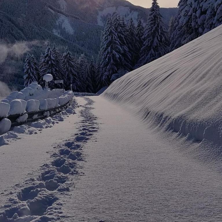 Chalet in Funes Valley with Dolomites Views - Apartamento de 2 dormitorios - 22