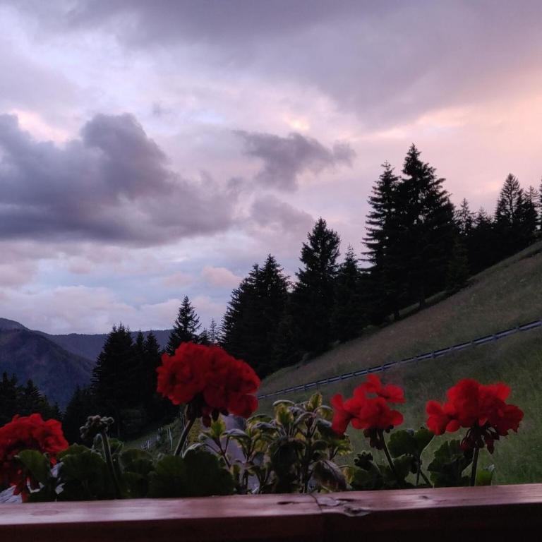 Chalet in Funes Valley with Dolomites Views - Apartamento de 2 dormitorios - 17