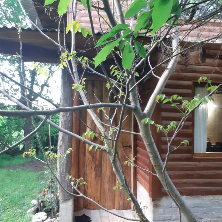 El Estribo - Chalet de 2 dormitorios - 12