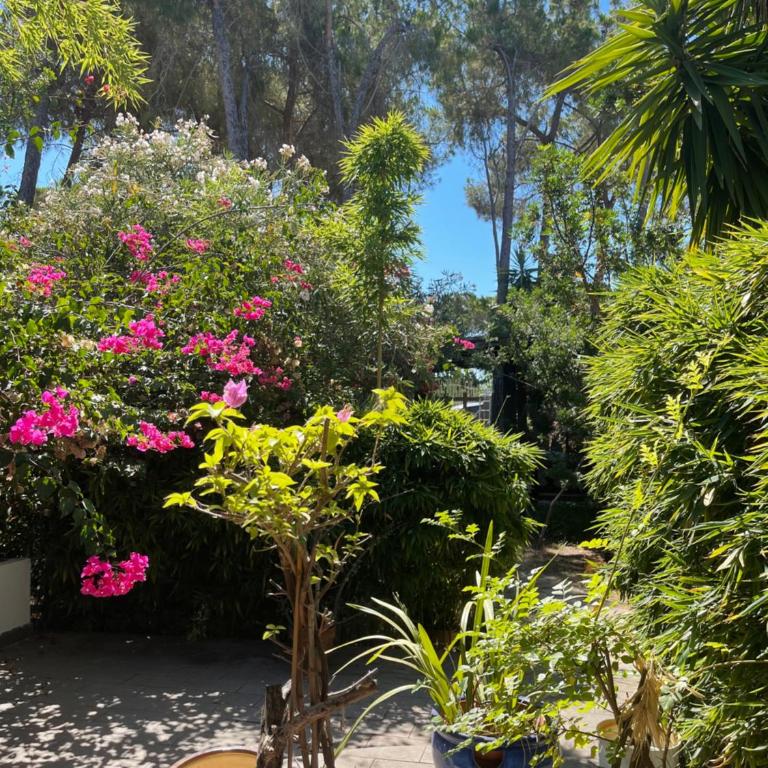 Al Mare Home - Villa con Vista Mare - 54