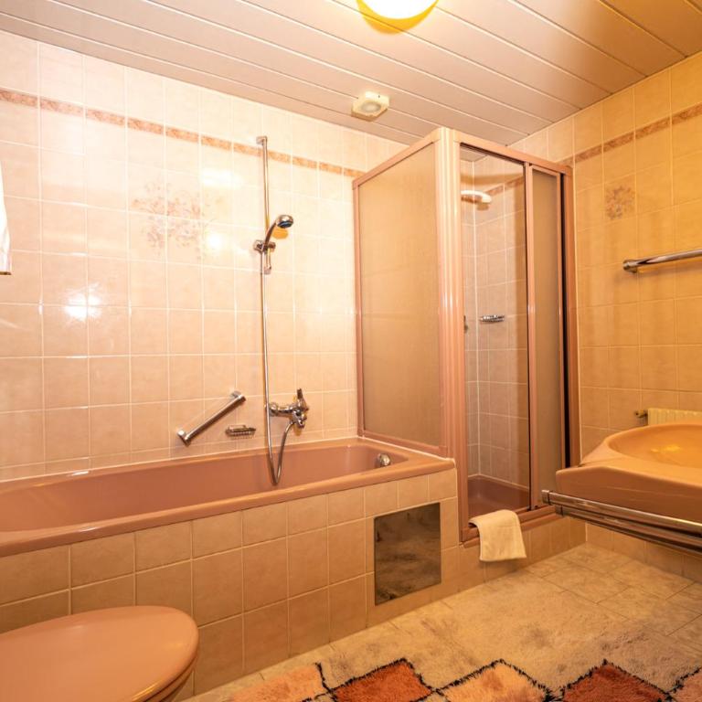 Haus Anton Sölden - Apartments & Zimmer - Familienzimmer mit Balkon - 4