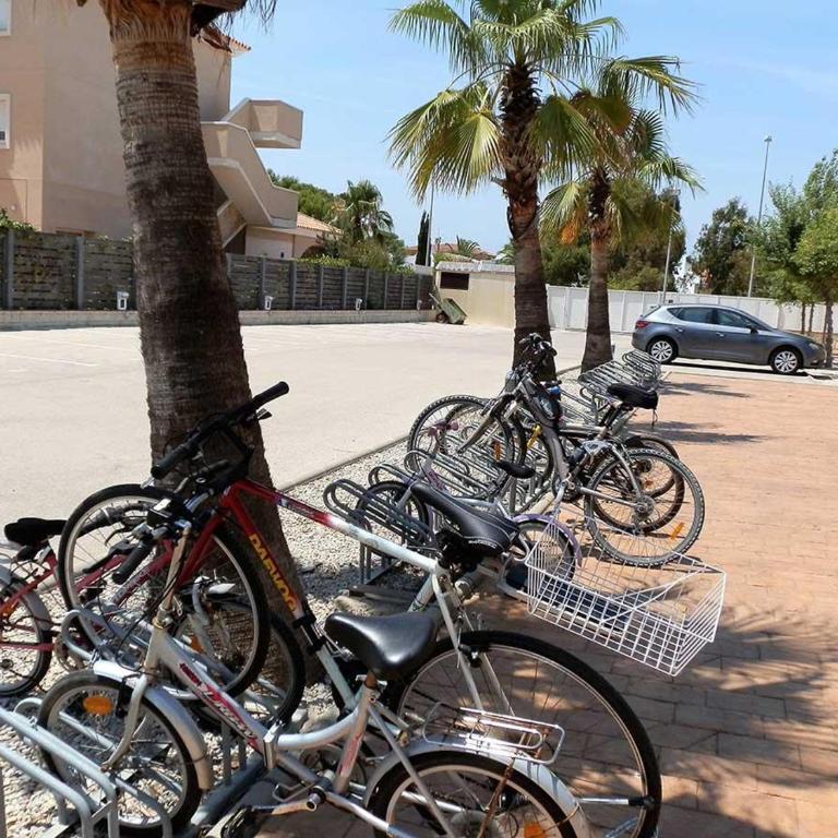 Vacaciones cerca del mar: piscina, mascotas, playa para perros y wifi gratis - ES-184-49 - Apartment - 6