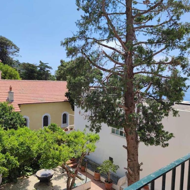 Casa Giusi - Appartamento con 1 Camera da Letto - 3