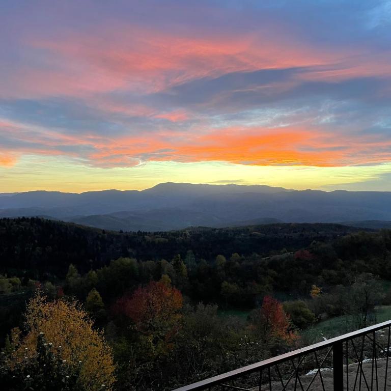 Jahorina Luxury Chalets - One-Bedroom Villa - 40