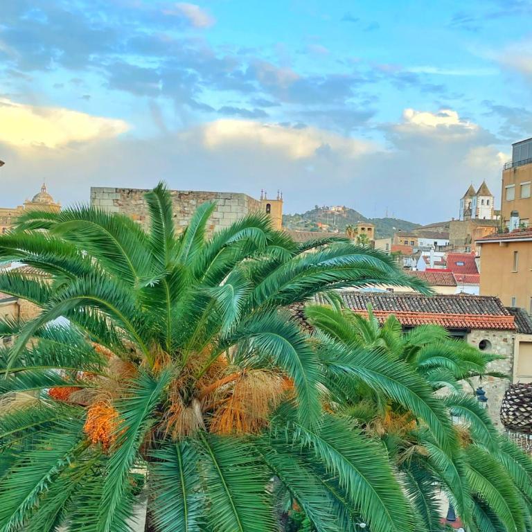 Cáceres de Cine - Apartamento de 1 dormitorio - 20