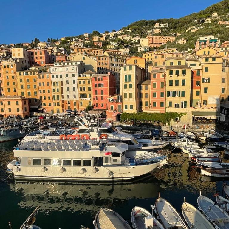 Da un'antica dimora di pescatori sul porticciolo - Appartamento con 1 Camera da Letto - 16