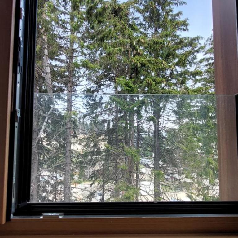 Kopaonik011 Konaci&WoodSide Apartments - Deluxe Double or Twin Room - 2