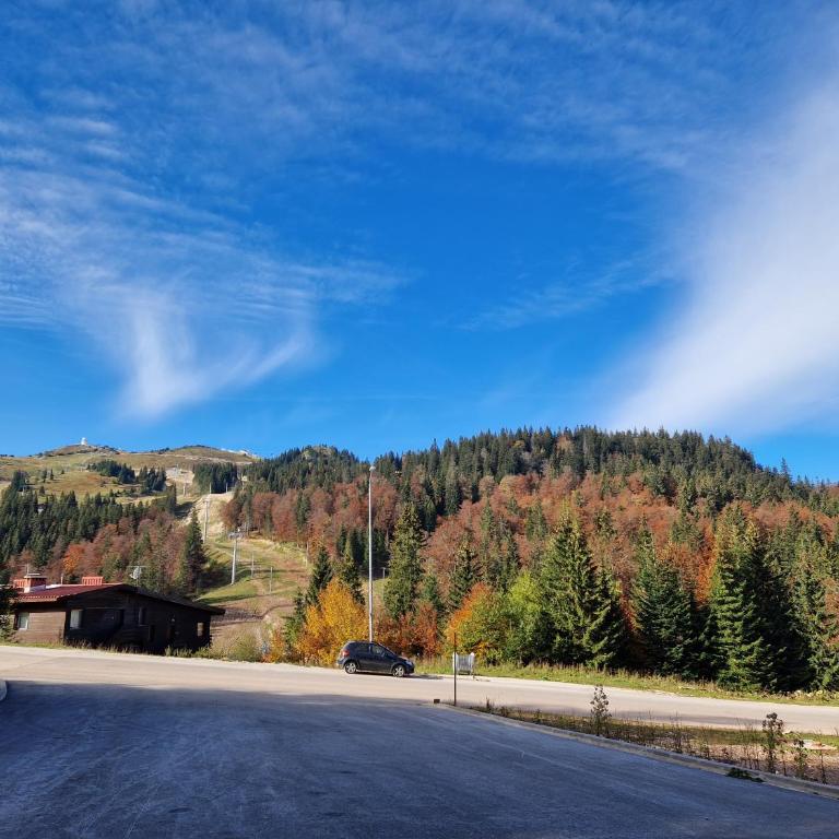 Cozy Ski Apartment Jahorina - One-Bedroom Apartment - 30
