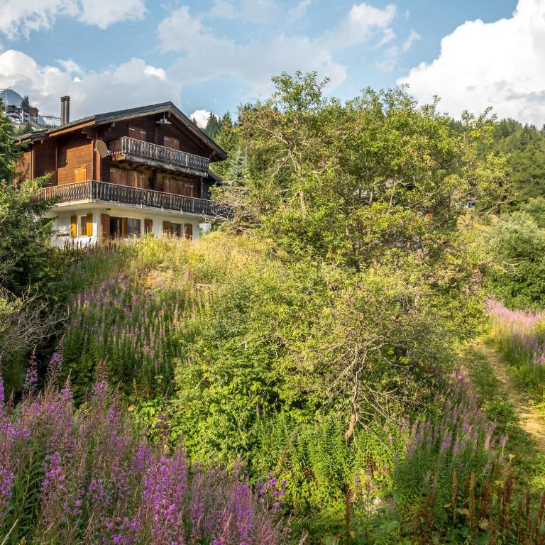 Sunnenstrahl EG - Apartamento con vistas a las montañas - 18