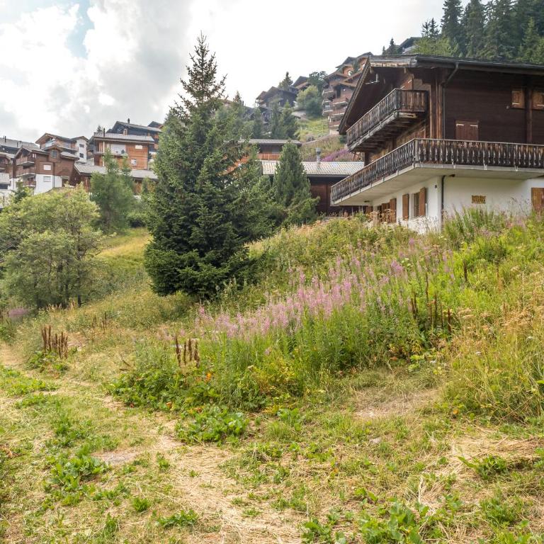 Sunnenstrahl EG - Apartamento con vistas a las montañas - 19