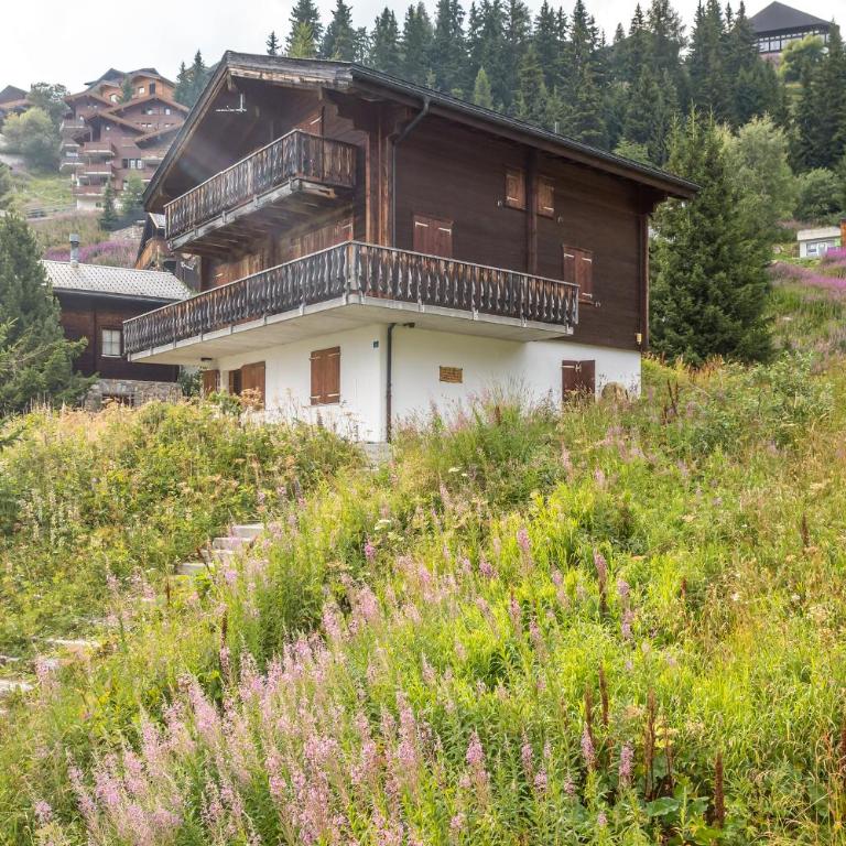 Sunnenstrahl EG - Apartamento con vistas a las montañas - 30