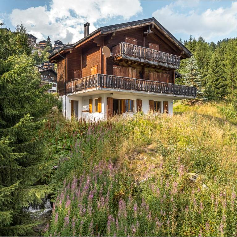 Sunnenstrahl EG - Apartamento con vistas a las montañas - 20
