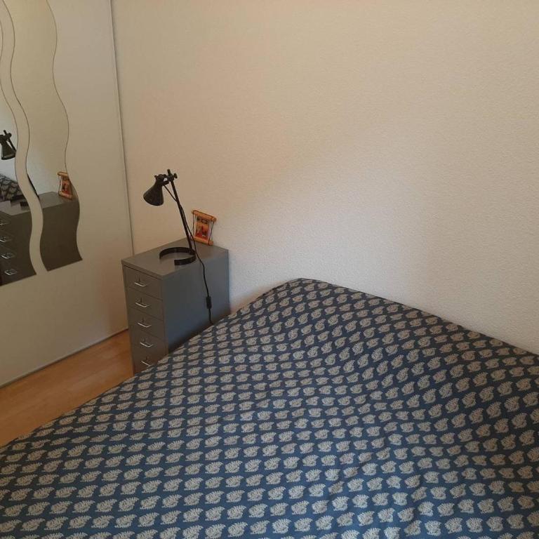 Appartement pour 4-6 pers, proche centre, parking privé, casier à ski - FR-1-234-294 - Appartement - 5