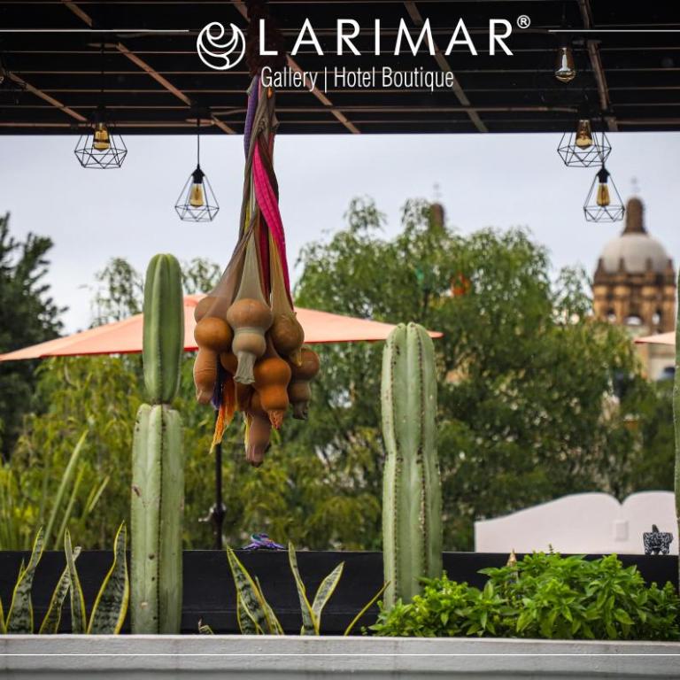 LARIMAR Gallery y Hotel Boutique - Estudio - 5