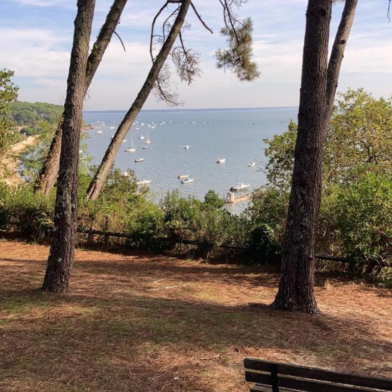 :Le tchanqué du bassin d'arcachon - Appartement - 19