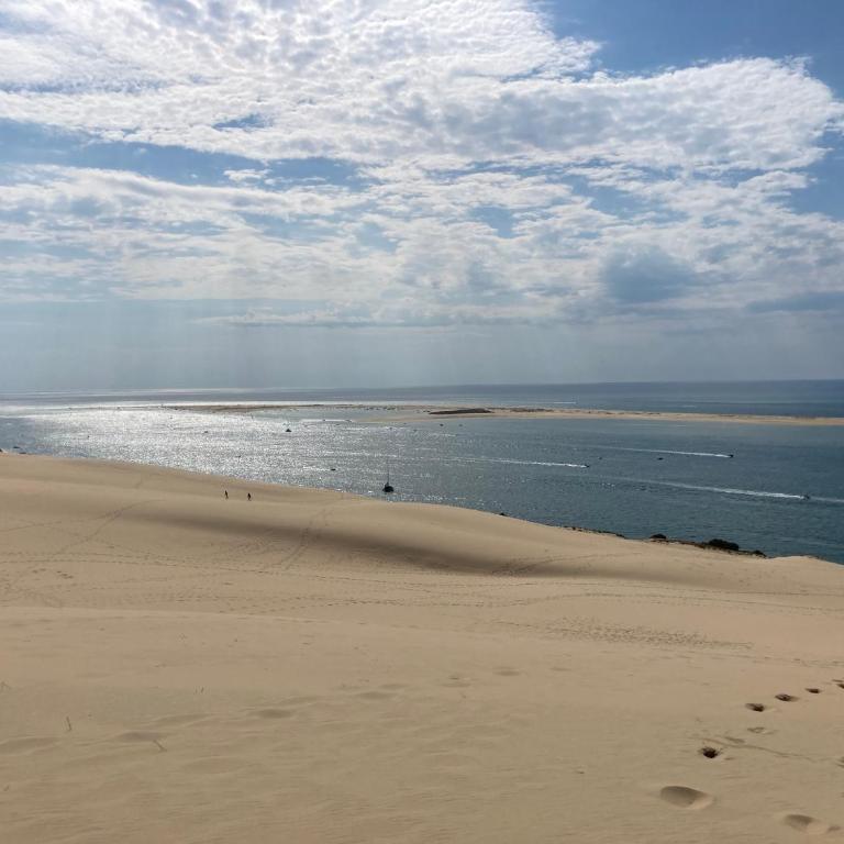 :Le tchanqué du bassin d'arcachon - Appartement - 20