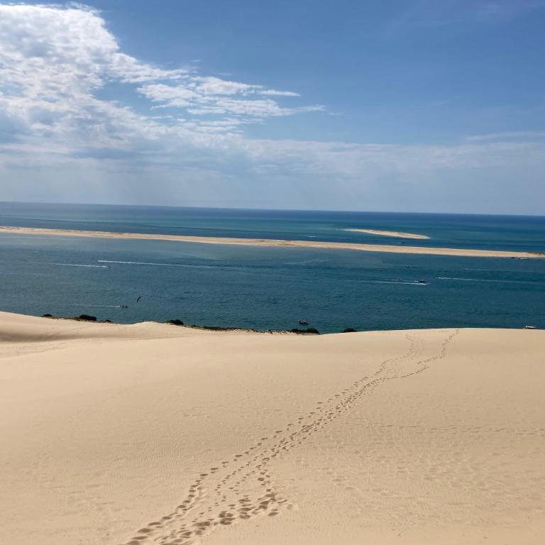 :Le tchanqué du bassin d'arcachon - Appartement - 21
