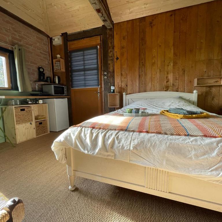 Jolie cabane avec jacuzzi pour les amoureux de la nature - Appartement 1 Chambre - 6