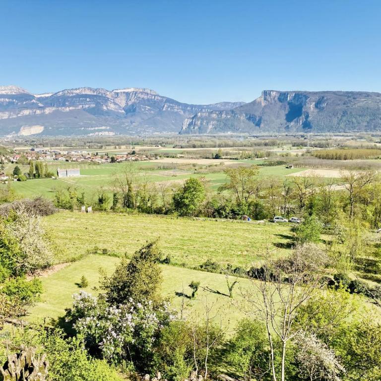 Jolie cabane avec jacuzzi pour les amoureux de la nature - Appartement 1 Chambre - 7
