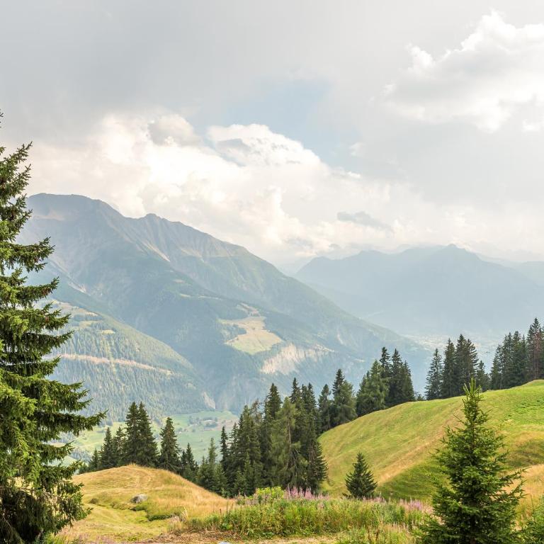 Brigerblick OG - Apartment mit Blick auf die Berge - 21