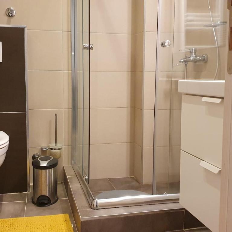 Apartman Gvozdac, Župa - Kopaonik - Apartman sa 1 Spavaćom Sobom - 19