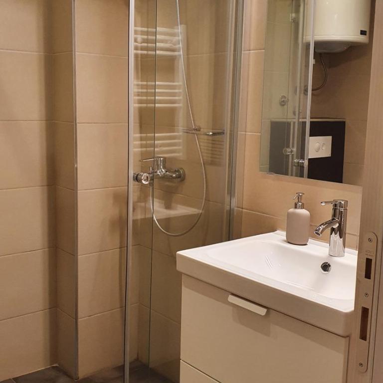 Apartman Gvozdac, Župa - Kopaonik - Apartman sa 1 Spavaćom Sobom - 20