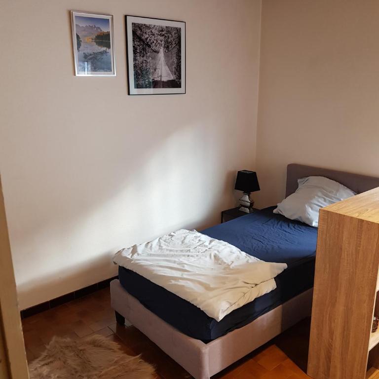 grand studio dans une résidence prive avec une cuisine et salle de bain séparé un parking gratuit et une magnifique vue sur les montagness - Studio - 5
