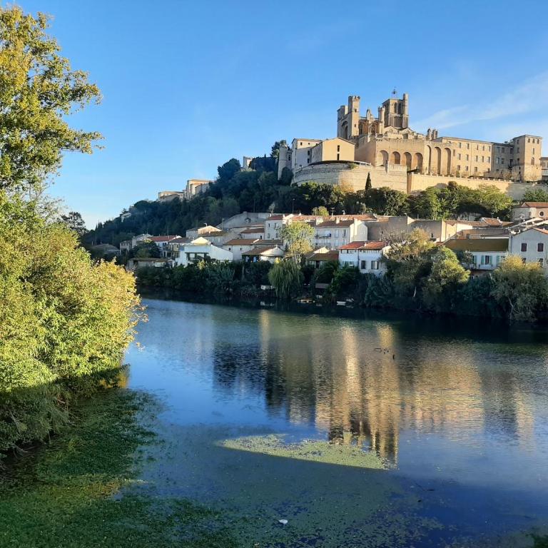 Situation parfaite, calme et spacieux, Wifi fibre et Netflix - Appartement 2 Chambres - 10
