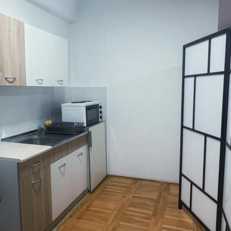 Apartman Lavanda Banja Koviljaca - Apartman sa 1 Spavaćom Sobom - 9