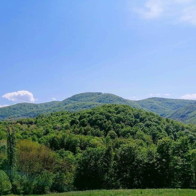 Apartman Lavanda Banja Koviljaca - Apartman sa 1 Spavaćom Sobom - 28