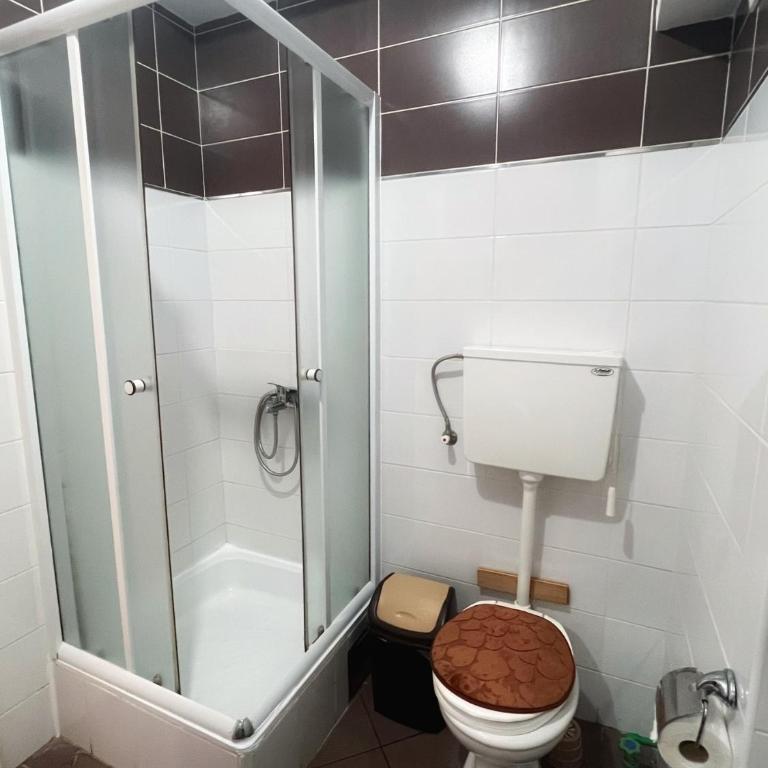 Apartman Lavanda Banja Koviljaca - Apartman sa 1 Spavaćom Sobom - 13