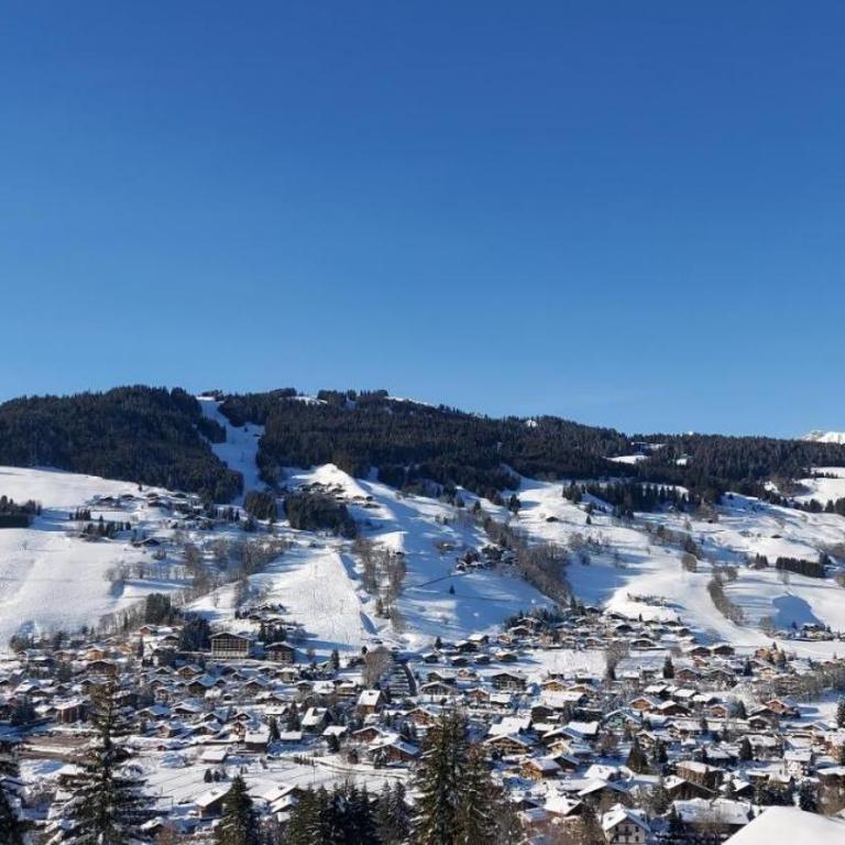 Lune D'Argent Appartement avec vue sur la montagne - Appartement 1 Chambre - 2