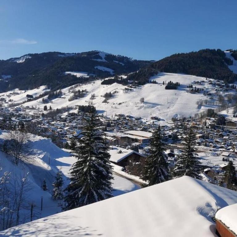 Lune D'Argent Appartement avec vue sur la montagne - Appartement 1 Chambre - 5
