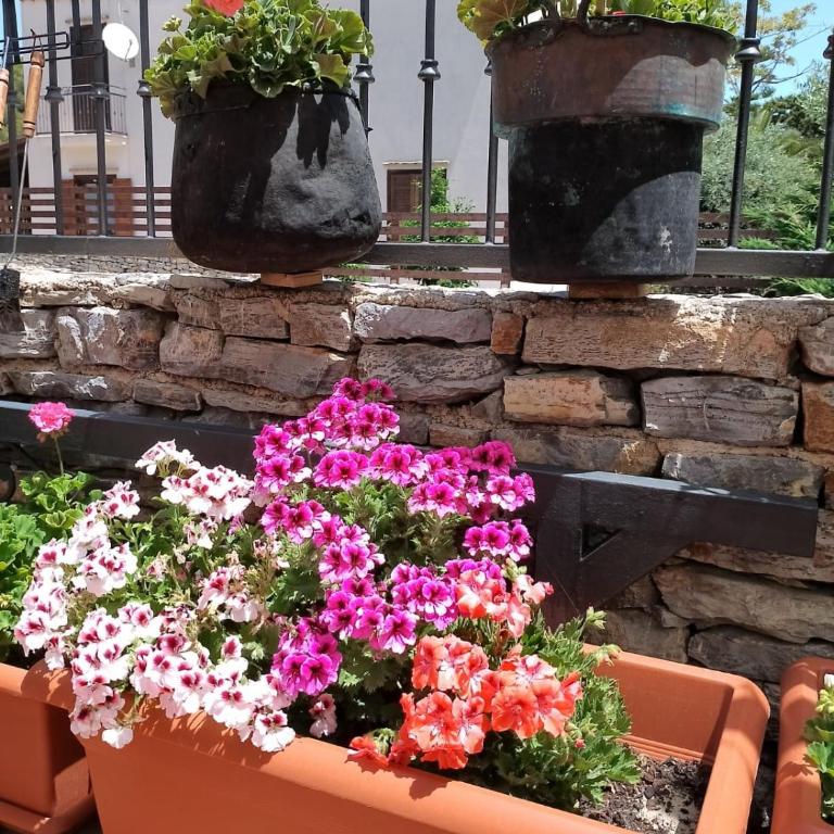 Villa Corallina Relais & Climbing Center - Villa con 2 Camere da Letto - 95