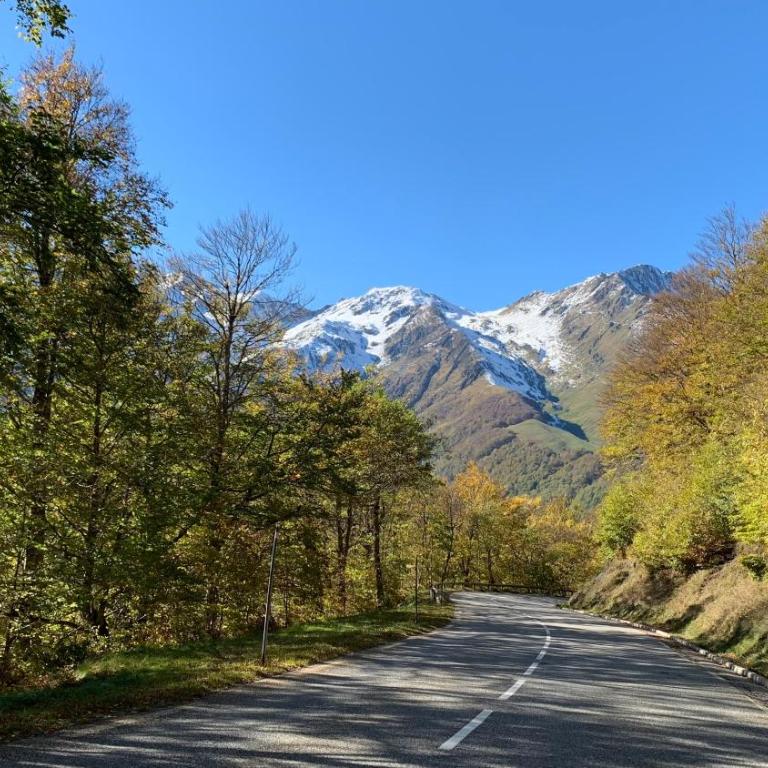 Au pied des télécabines, T2, parking, cave, ascenseur - Appartement 1 Chambre - 17