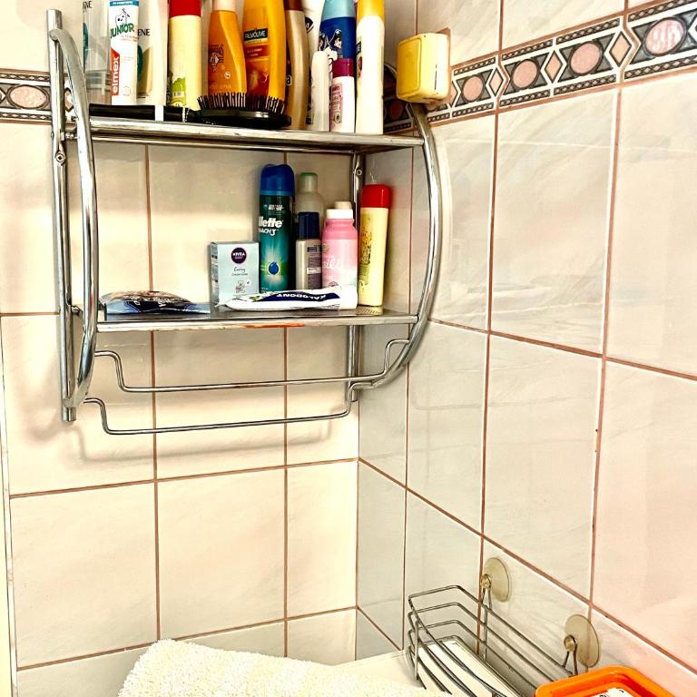 Airport Sarajevo Apartment 2 - Apartman sa 1 Spavaćom Sobom - 13