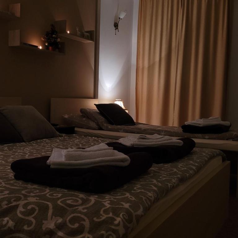 Apartmani Pavlović - Apartman sa Pogledom na Planinu - 2