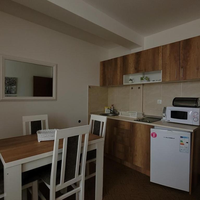 Apartmani Pavlović - Apartman sa Pogledom na Planinu - 17