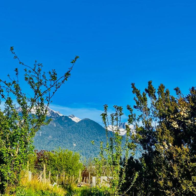 Rio Blanco - Two-Bedroom House - 9